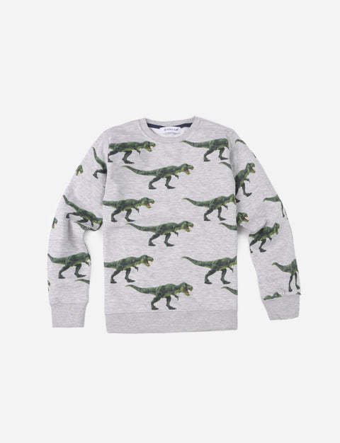 Sweatshirt de niño