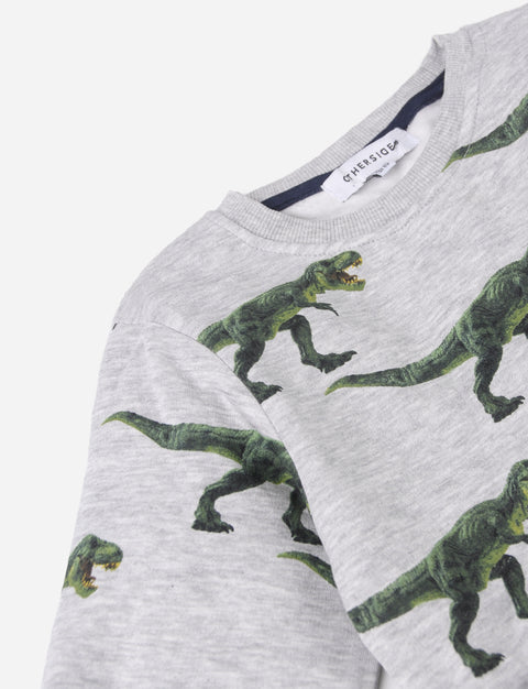 Sweatshirt de niño